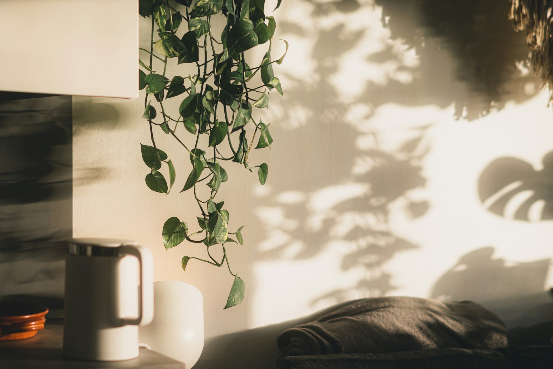 a potted plant hanging from the side of a wall